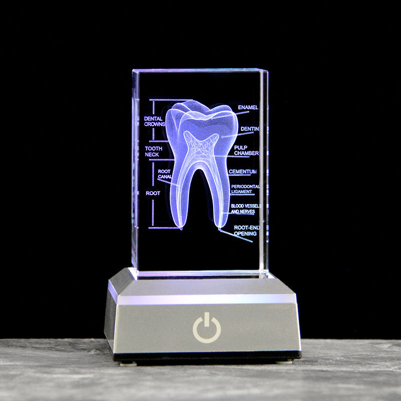 치과 3D 레이저 새겨진 인간 골격 크리스탈 큐브 인형 - Paper Weight Crystal 리뷰 및 가격
