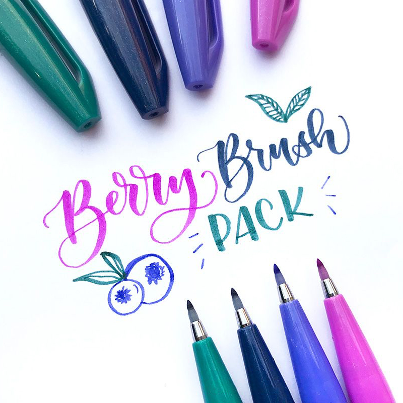 1PC 펜텔 푸데 브러쉬 터치 사인 펜 브러쉬 SES1 - Pentel Pen Sign Pen 리뷰 및 가격