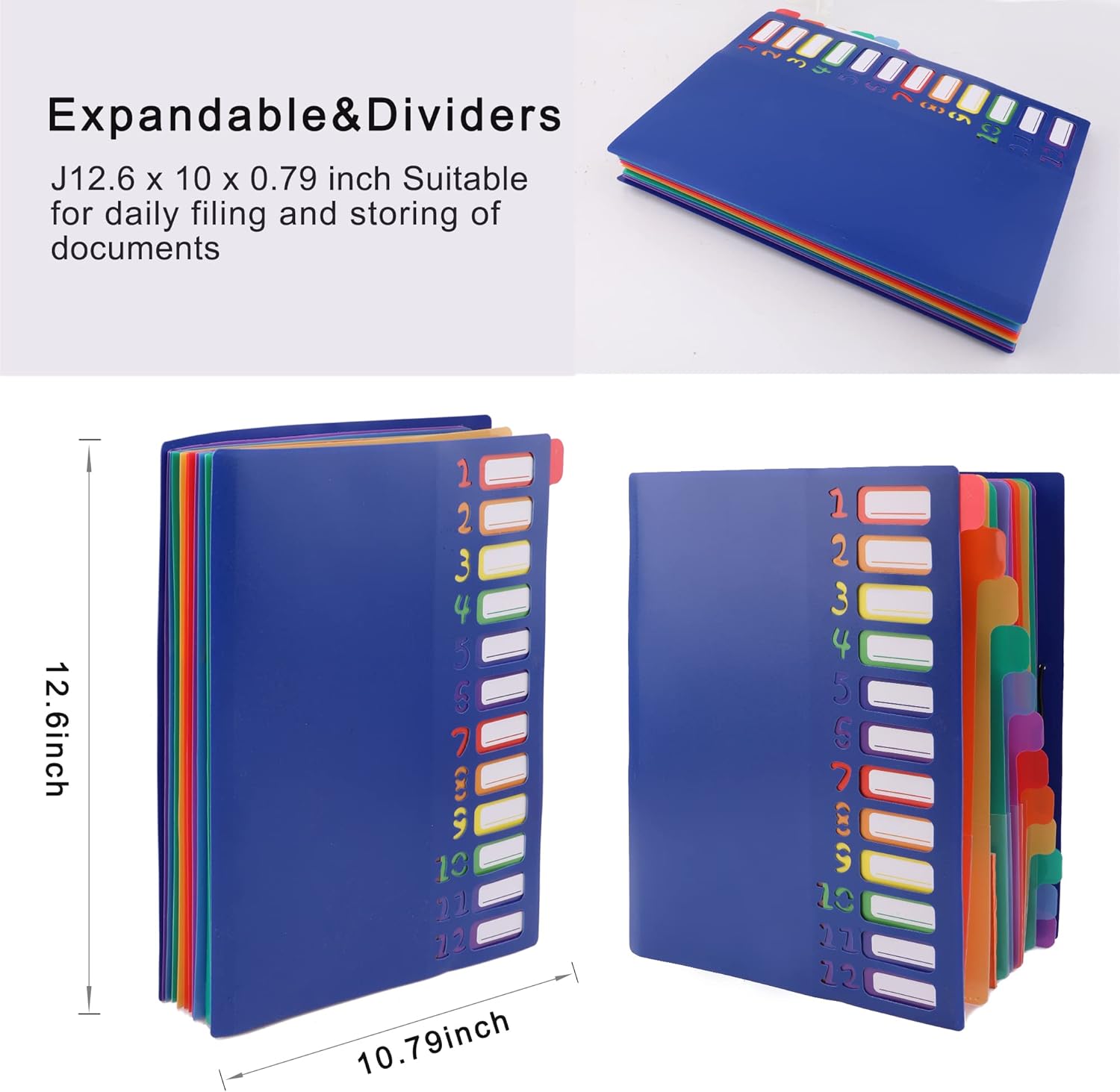 A4 크기 레인보우 탭 확장 파일 폴더-24 포켓, 내 - Tab Divider A4 리뷰 및 가격